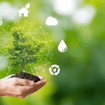Environmental Impact Statement EIS: A Clear Guide to Purpose, Process, and Public Participation