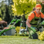 Lawn Services Mississauga: Professional Care for Healthy, Picture-Perfect Lawns