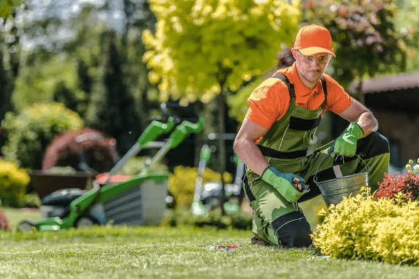 Lawn Services Mississauga: Professional Care for Healthy, Picture-Perfect Lawns