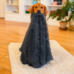 The Smart Pet Owner’s Guide to Choosing a Waterproof Dog Mattress Cover