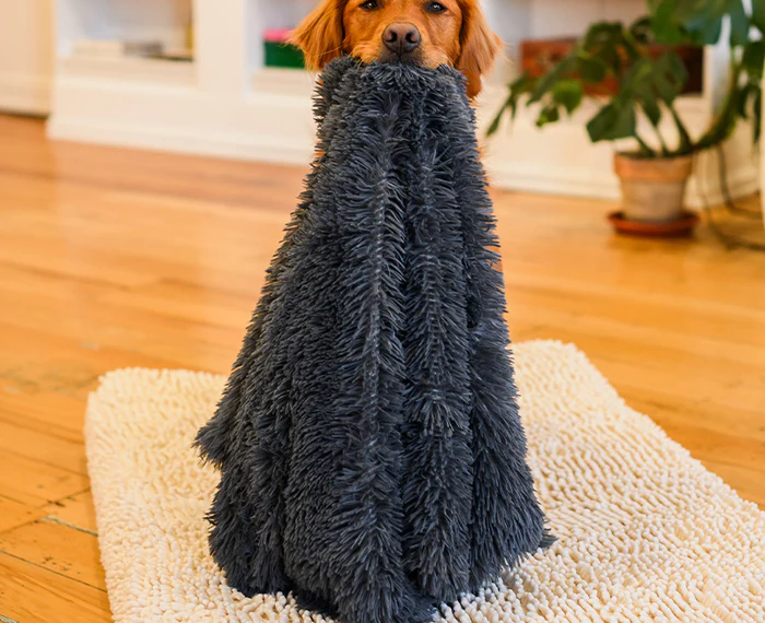 The Smart Pet Owner’s Guide to Choosing a Waterproof Dog Mattress Cover